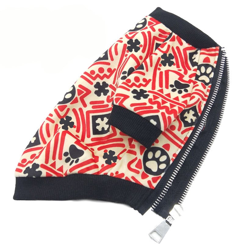Teddy Dog Clothes for Spring, Autumn, New Year & Christmas